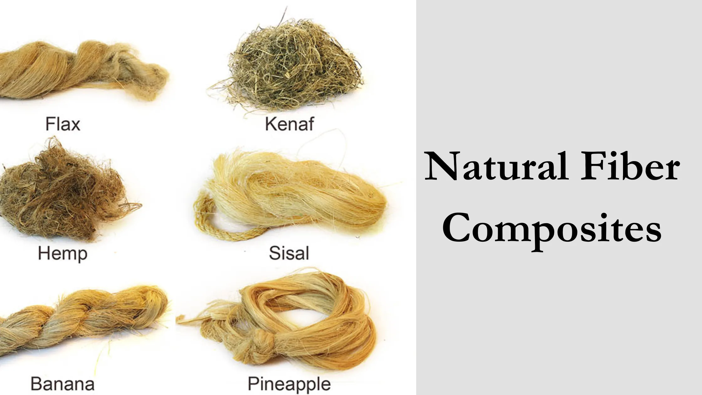 Natural Fiber Composites