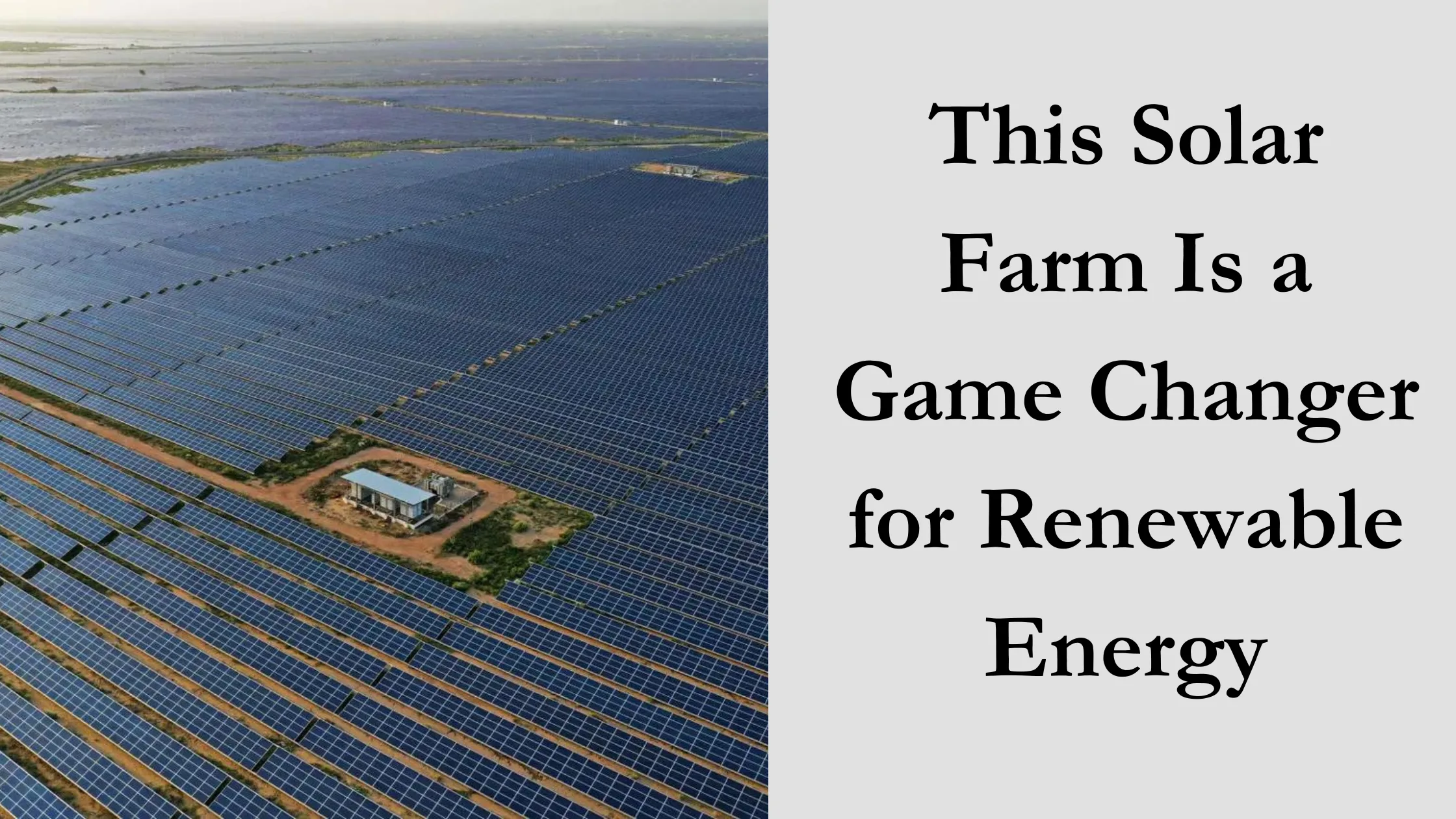 Solar Farm