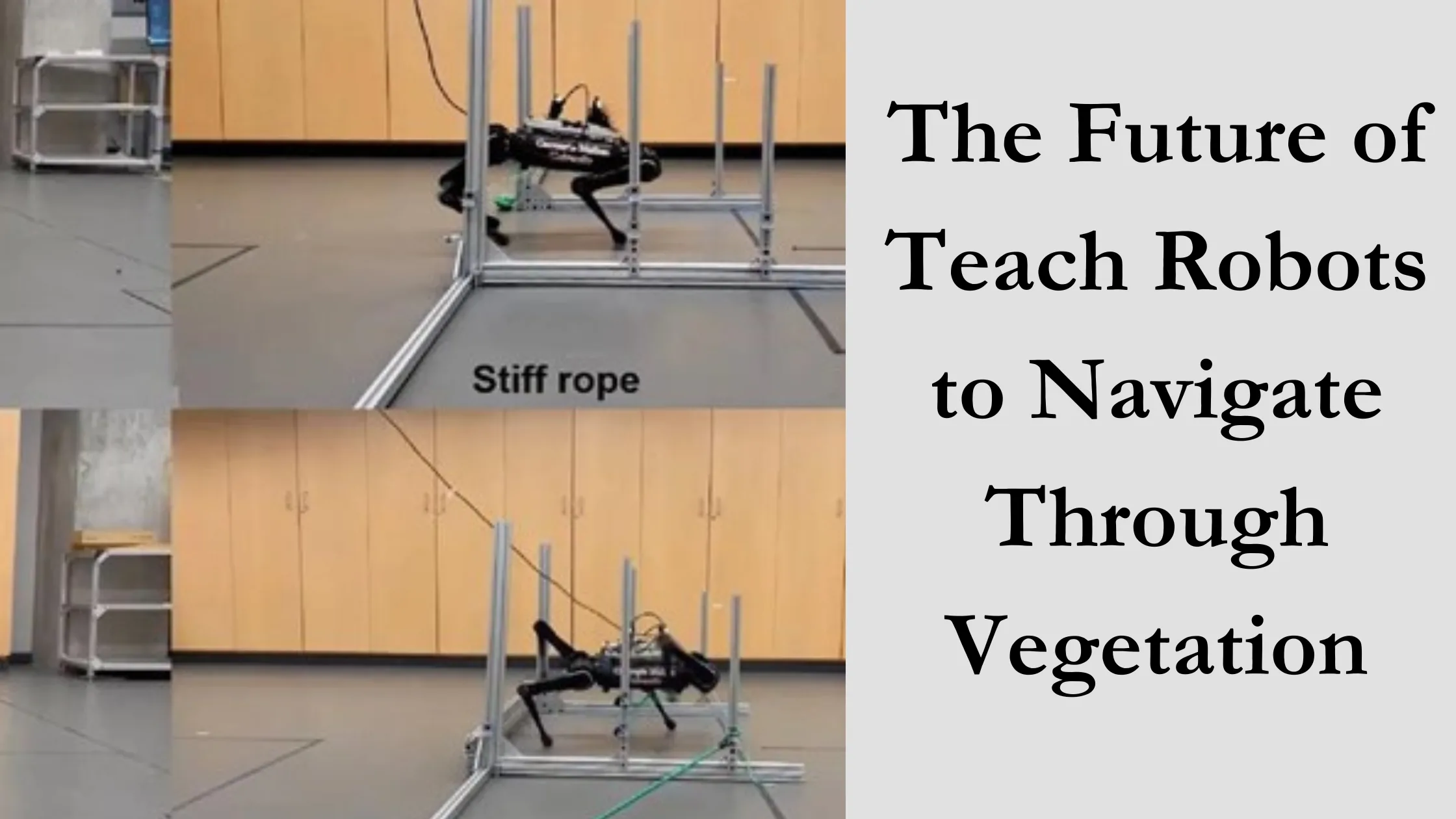 Teach Robots