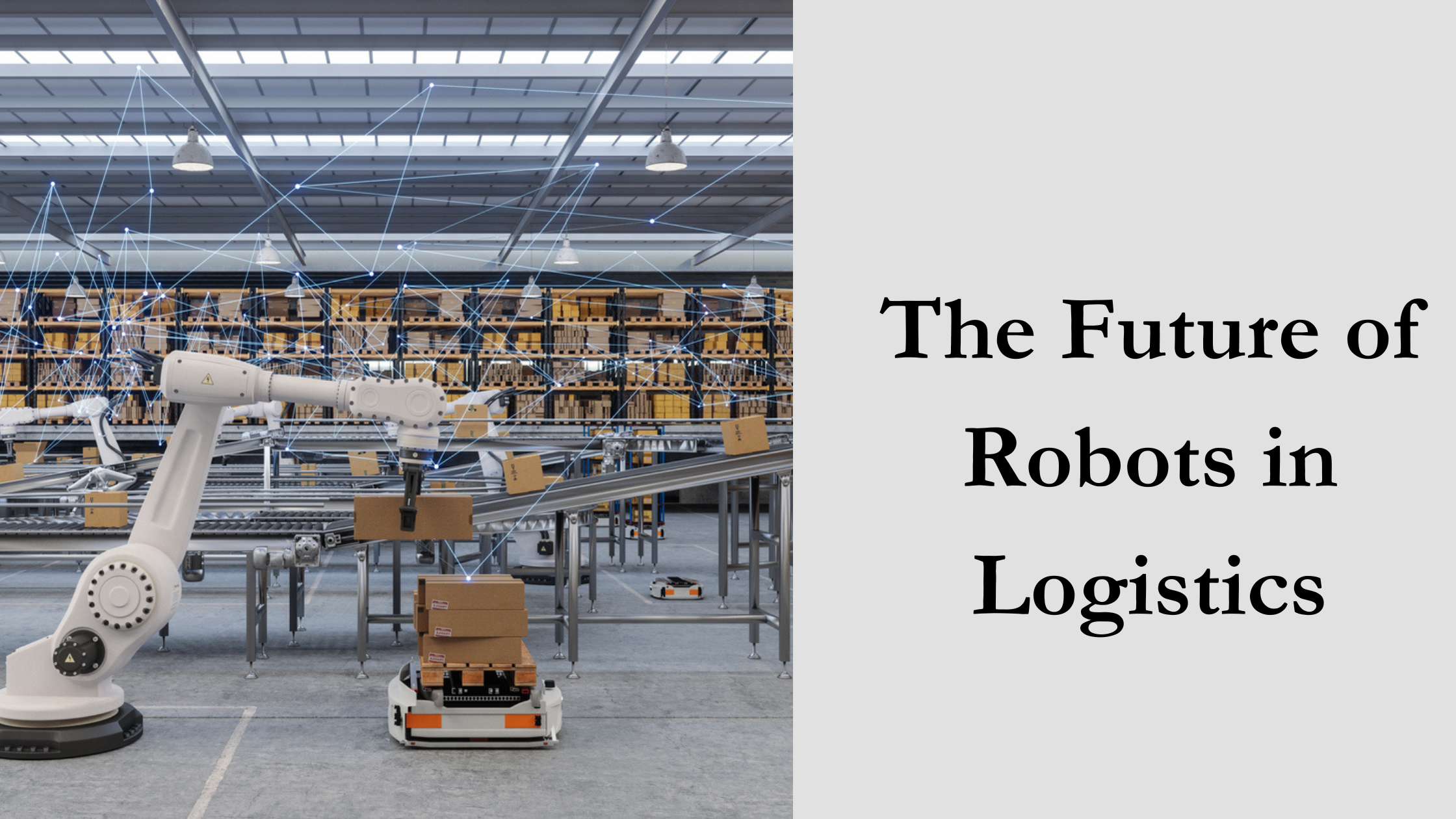Robots in Logistics