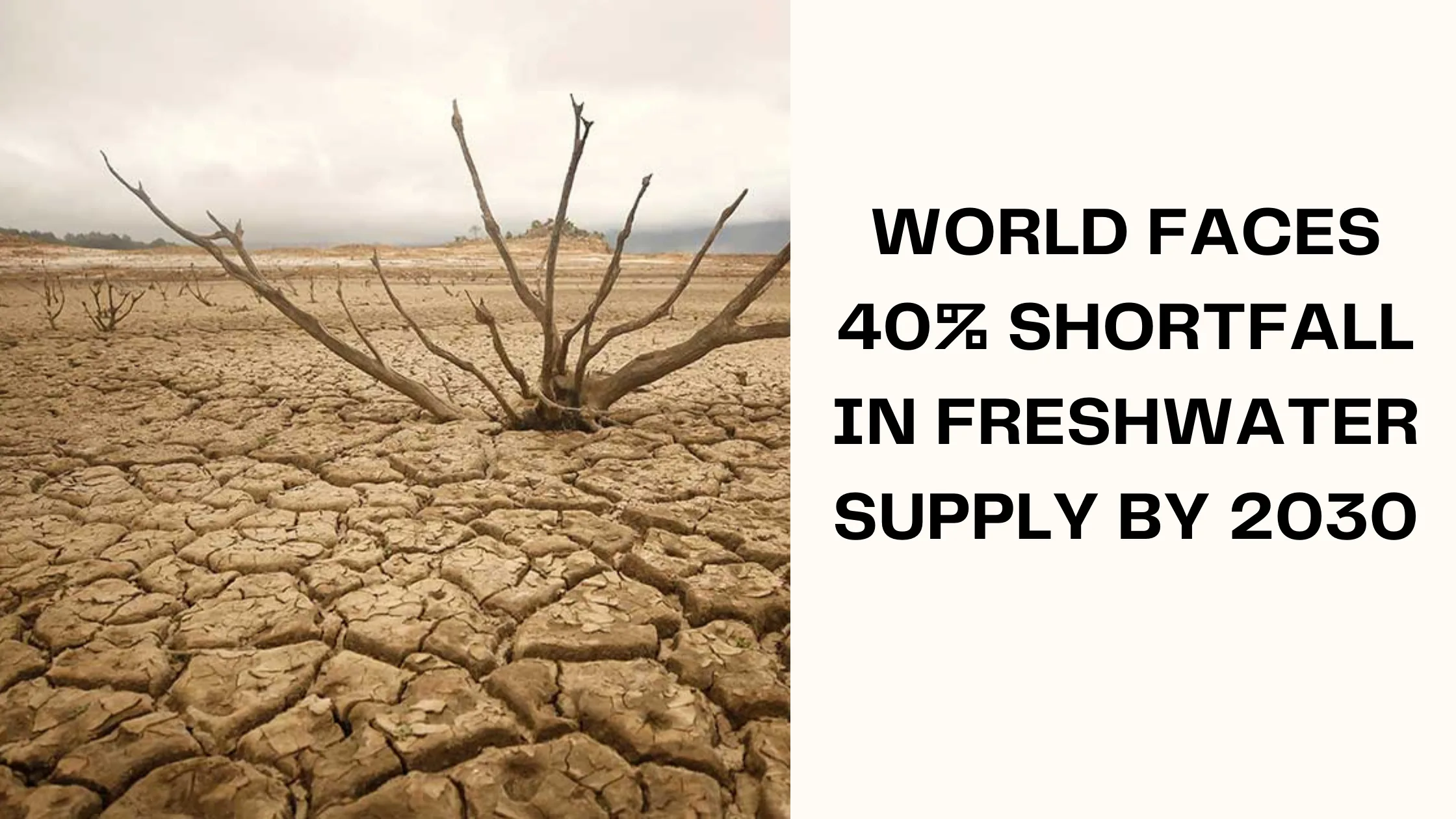 World Faces 40% Shortfall