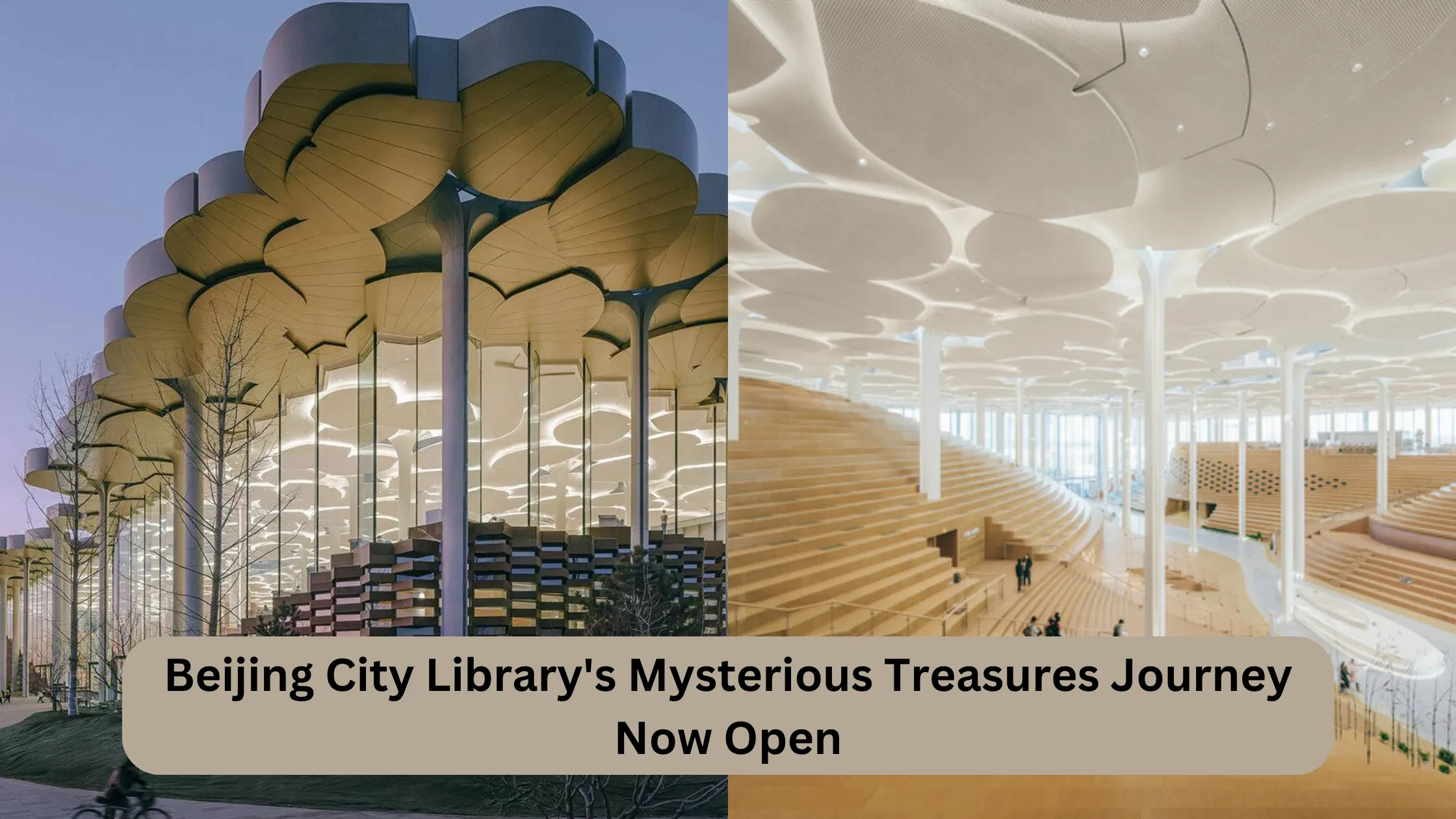 Beijing City Library's