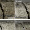 Self-Healing Concrete