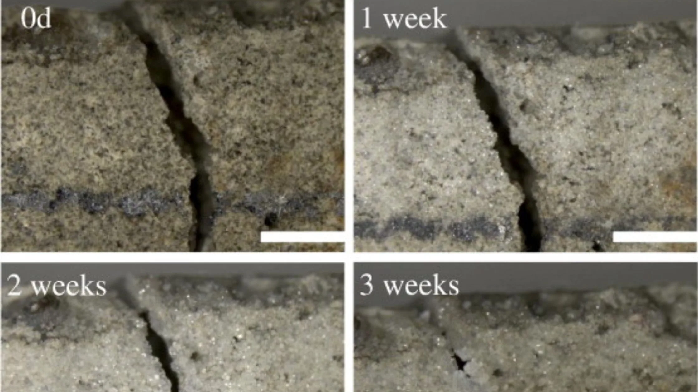 Self-Healing Concrete